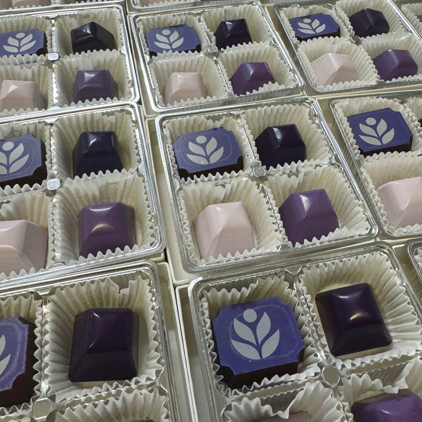 Single Flavor Edible Logo 4-Pack